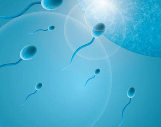 sperm 1 - علت کم تحرکی اسپرم مردان | علائم و علل آن